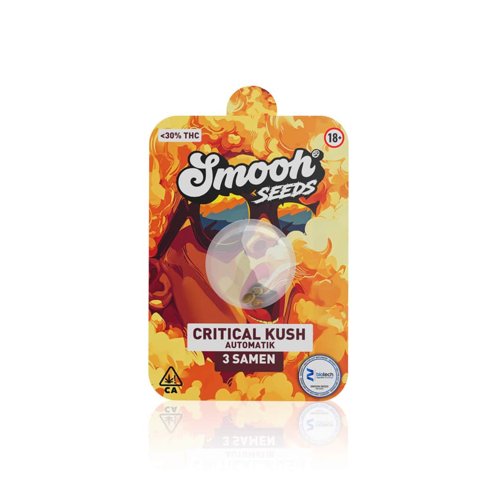 Smooh Cannabis Samen Critical Kush